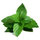 ilikemint