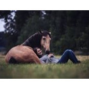 Kati Westendorf's photo