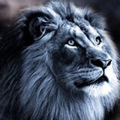 Sharen Olson's photo