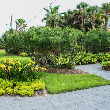 Holiday Isle Tropical Landscape