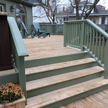 Stephanie's Backyard