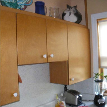 Small Condo Kitchen remodel (before)