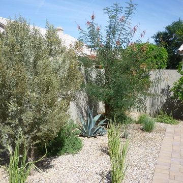 Plantings - 1.5 Years