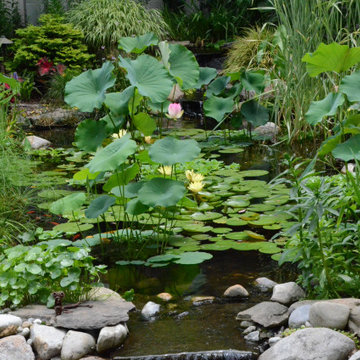 Ponds, Streams & Waterfalls