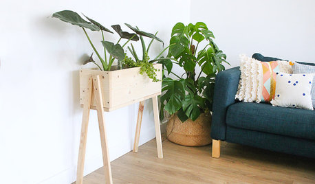DIY : Une superbe jardinière en bois invite les plantes au salon