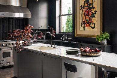 Trendy kitchen photo in Chicago