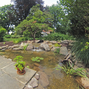 Pond Renovation