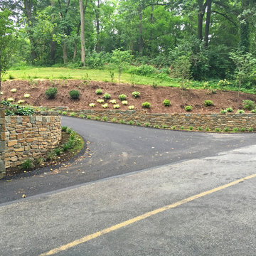 Driveway Entrance Landscape Renovation