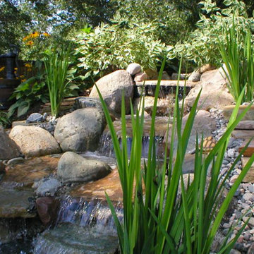 Landscape Gallery