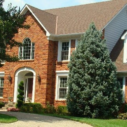 Double Hung Windows - Windows