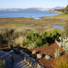 landscaping 6/17/2012