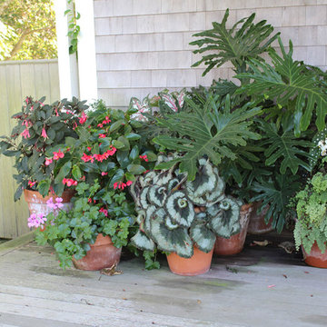 Window Boxes / Containers