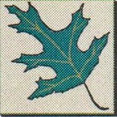 Sandra Nash Landscape Architecture's profile photo