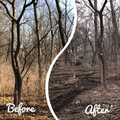 Tri-State Land Clearing