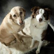 Debbie Godfrey's photo