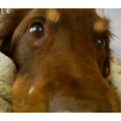 Kristin Beck's photo