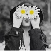 Daisy Pimentel's photo