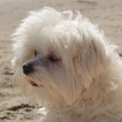 Sharon Shilling's photo
