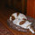 webuser_7235325