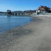 Susan Nason's photo