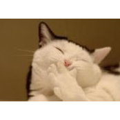 Lynda Sherriff's photo