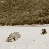 Germán Hurtado's photo