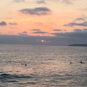 Peggye Springetti's photo