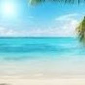 Linda Kolbe's photo