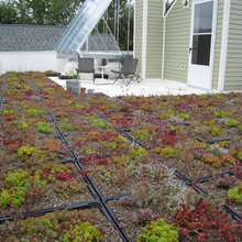 green roof