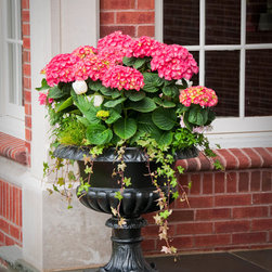 Spring Rotations - Plants