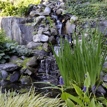 The Peaceful Waterfall in the Rock Garden