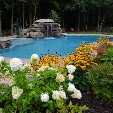 Chantilly Pool, Grottoe, Spa, & Firepit