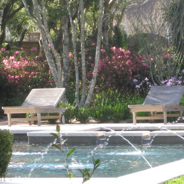 Lafayette Country French Pool and Landscape