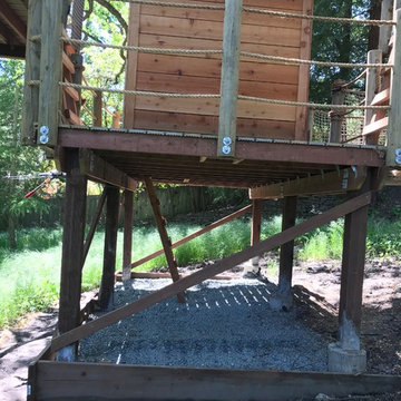 Alamo Treehouse #2