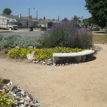 Sustainable Fullerton Garden Makeover