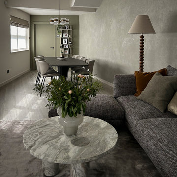 Belsize Mews House