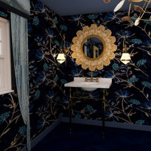 Bathroom Project
