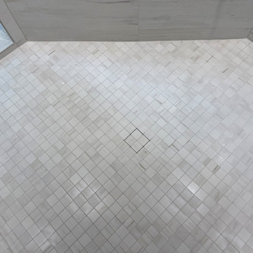 Tiled Shower w/ Tileable Drain