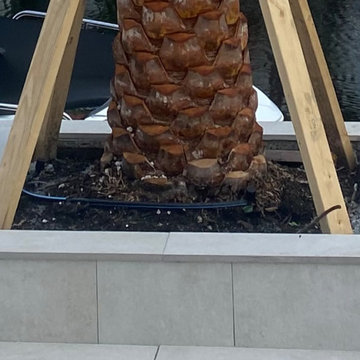 Highland Beach Pool Planters