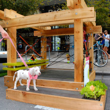 Dog House