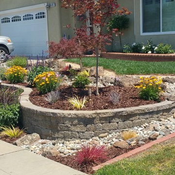 Low Water Gardens