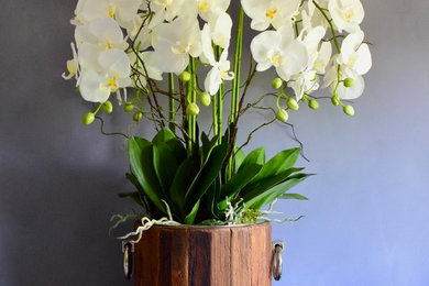 Fresh Touch Orchids in Railway Sleeper Wine Cooler
