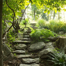Paths