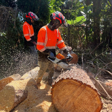 Flowers and Tree Care