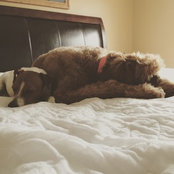 Danica's photo