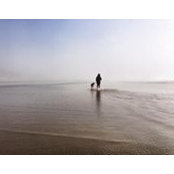 Clarissa Gamolo's photo