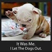 Kris Rayne's photo
