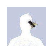 Bogdan Orbai's photo