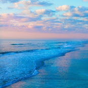 Brittany McCrone's photo