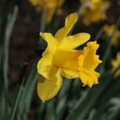Jamie Peterson's photo